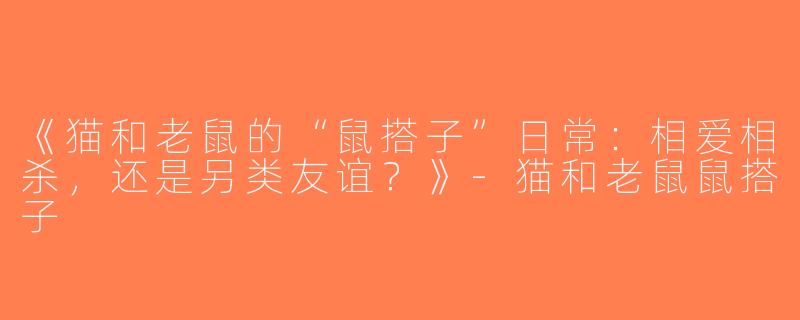 《猫和老鼠的“鼠搭子”日常：相爱相杀，还是另类友谊？》-猫和老鼠鼠搭子