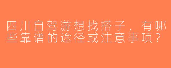 四川自驾游想找搭子，有哪些靠谱的途径或注意事项？
