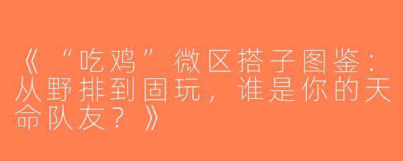 《“吃鸡”微区搭子图鉴：从野排到固玩，谁是你的天命队友？》