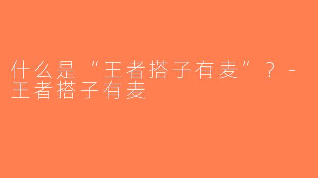 什么是“王者搭子有麦”？-王者搭子有麦