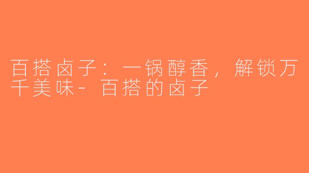 百搭卤子：一锅醇香，解锁万千美味-百搭的卤子