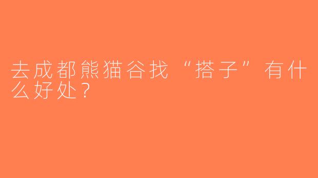 去成都熊猫谷找“搭子”有什么好处？