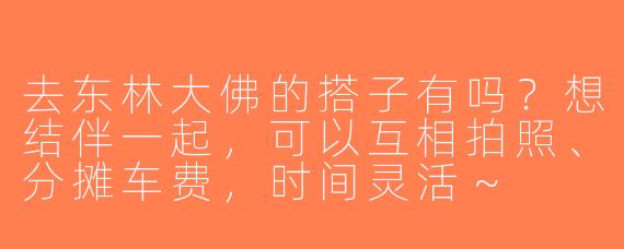 去东林大佛的搭子有吗？想结伴一起，可以互相拍照、分摊车费，时间灵活～