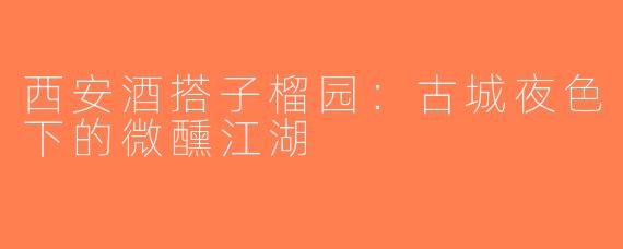 西安酒搭子榴园：古城夜色下的微醺江湖