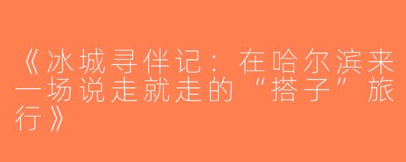 《冰城寻伴记：在哈尔滨来一场说走就走的“搭子”旅行》