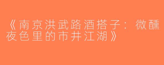 《南京洪武路酒搭子：微醺夜色里的市井江湖》