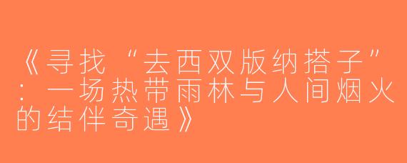 《寻找“去西双版纳搭子”：一场热带雨林与人间烟火的结伴奇遇》