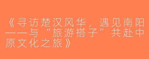 《寻访楚汉风华，遇见南阳——与“旅游搭子”共赴中原文化之旅》