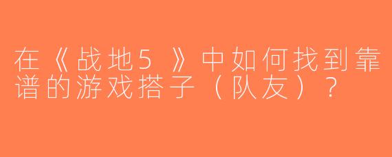在《战地5》中如何找到靠谱的游戏搭子（队友）？