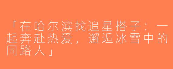 「在哈尔滨找追星搭子：一起奔赴热爱，邂逅冰雪中的同路人」