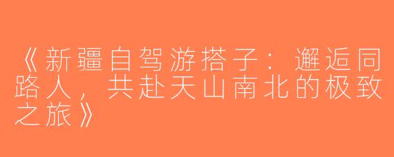 《新疆自驾游搭子：邂逅同路人，共赴天山南北的极致之旅》