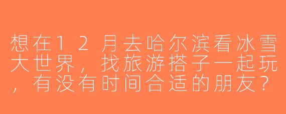 想在12月去哈尔滨看冰雪大世界，找旅游搭子一起玩，有没有时间合适的朋友？可以一起拼车、拍照、吃铁锅炖！