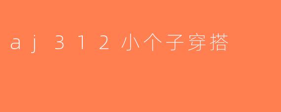 aj312小个子穿搭