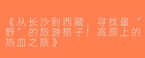 《从长沙到西藏，寻找最“野”的旅游搭子！高原上的热血之旅》