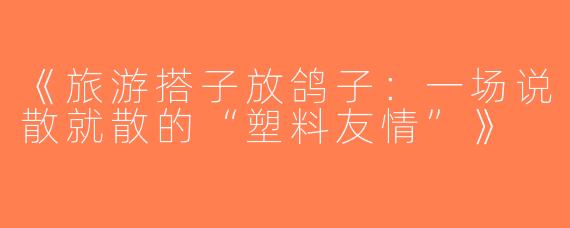 《旅游搭子放鸽子：一场说散就散的“塑料友情”》