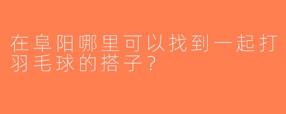 在阜阳哪里可以找到一起打羽毛球的搭子？