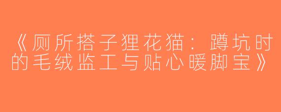 《厕所搭子狸花猫：蹲坑时的毛绒监工与贴心暖脚宝》