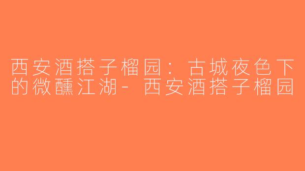 西安酒搭子榴园：古城夜色下的微醺江湖-西安酒搭子榴园