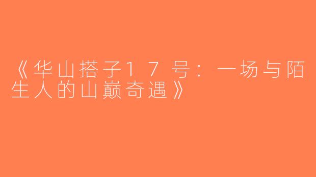 《华山搭子17号：一场与陌生人的山巅奇遇》