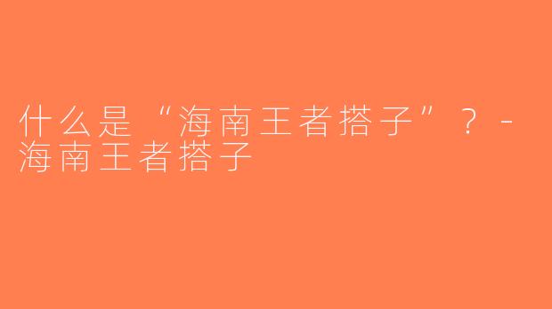 什么是“海南王者搭子”？-海南王者搭子