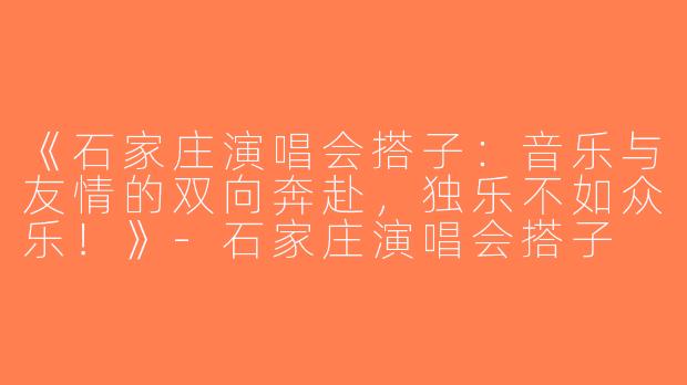 《石家庄演唱会搭子：音乐与友情的双向奔赴，独乐不如众乐！》-石家庄演唱会搭子