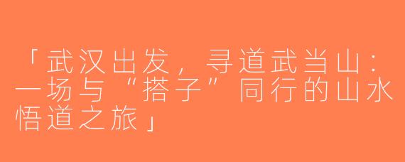 「武汉出发，寻道武当山：一场与“搭子”同行的山水悟道之旅」