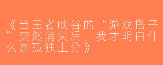 《当王者峡谷的“游戏搭子”突然消失后，我才明白什么是孤独上分》