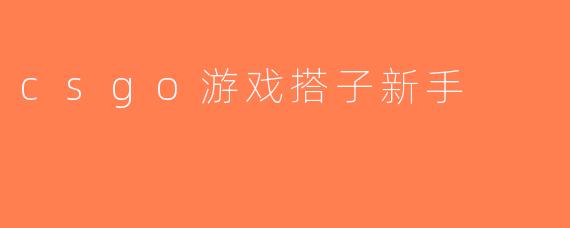 csgo游戏搭子新手