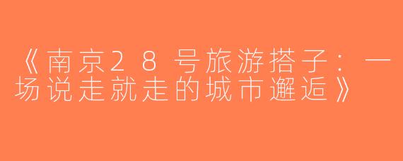 《南京28号旅游搭子：一场说走就走的城市邂逅》