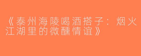 《泰州海陵喝酒搭子：烟火江湖里的微醺情谊》