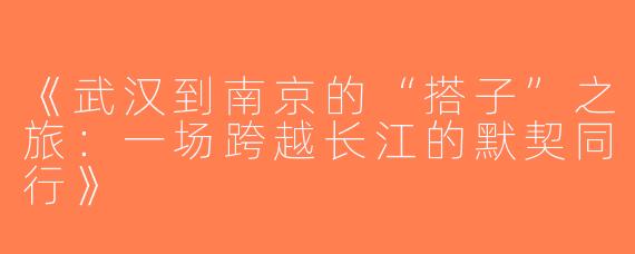 《武汉到南京的“搭子”之旅：一场跨越长江的默契同行》