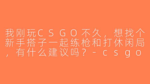 我刚玩CSGO不久，想找个新手搭子一起练枪和打休闲局，有什么建议吗？-csgo新手游戏搭子
