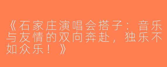 《石家庄演唱会搭子：音乐与友情的双向奔赴，独乐不如众乐！》