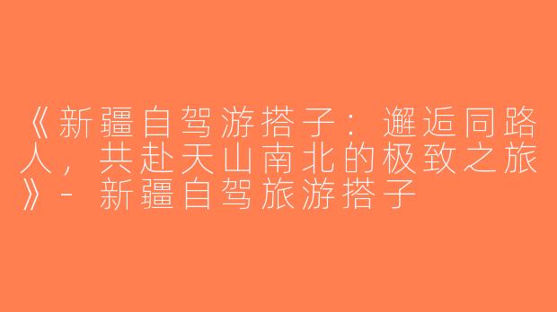 《新疆自驾游搭子：邂逅同路人，共赴天山南北的极致之旅》-新疆自驾旅游搭子