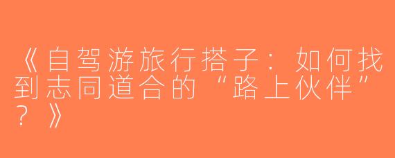 《自驾游旅行搭子：如何找到志同道合的“路上伙伴”？》