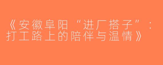 《安徽阜阳“进厂搭子”：打工路上的陪伴与温情》