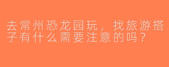 去常州恐龙园玩，找旅游搭子有什么需要注意的吗？