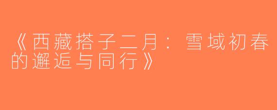 《西藏搭子二月：雪域初春的邂逅与同行》