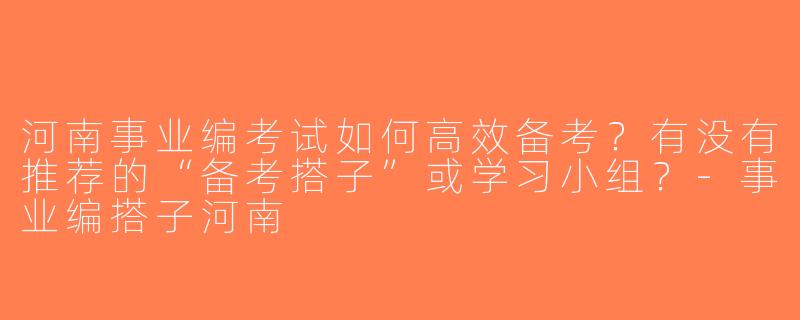 河南事业编考试如何高效备考？有没有推荐的“备考搭子”或学习小组？-事业编搭子河南