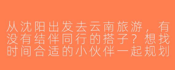 从沈阳出发去云南旅游，有没有结伴同行的搭子？想找时间合适的小伙伴一起规划行程，拼车/拼团更划算！