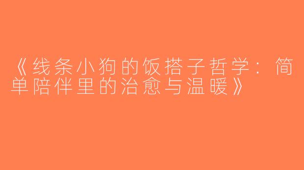 《线条小狗的饭搭子哲学:简单陪伴里的治愈与温暖》