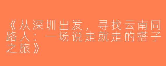 《从深圳出发，寻找云南同路人：一场说走就走的搭子之旅》