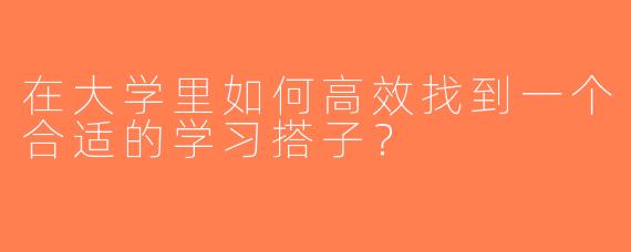 在大学里如何高效找到一个合适的学习搭子？