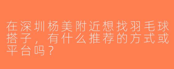 在深圳杨美附近想找羽毛球搭子，有什么推荐的方式或平台吗？