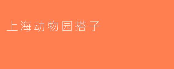 上海动物园搭子