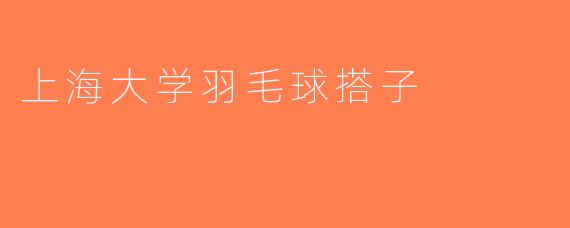 上海大学羽毛球搭子