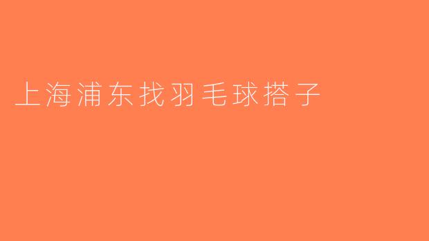 上海浦东找羽毛球搭子