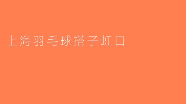 上海羽毛球搭子虹口