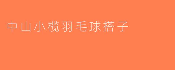 中山小榄羽毛球搭子