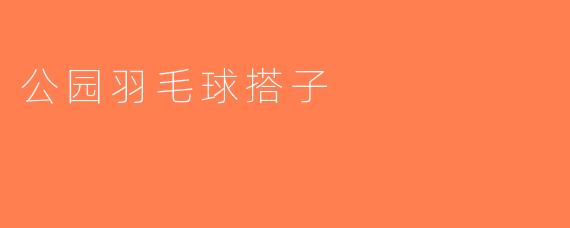 公园羽毛球搭子